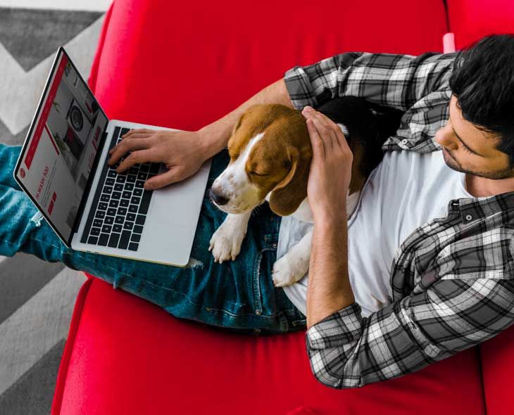 Sie haben einen vierbeinigen Freund? Erfahren Sie mehr darüber, wie Ihr Zuhause sauber bleibt.