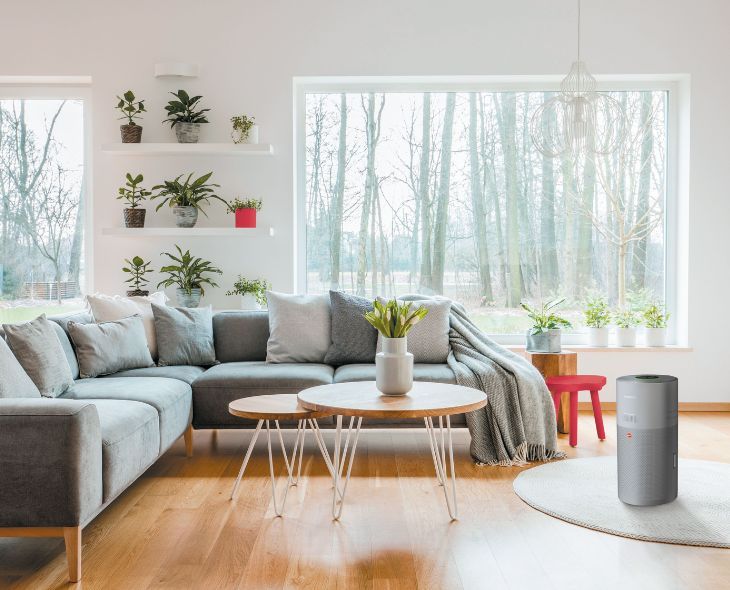 Luftreiniger: Wie man Allergien bekämpft