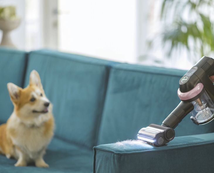 Akku-Staubsauger für Tierhaare